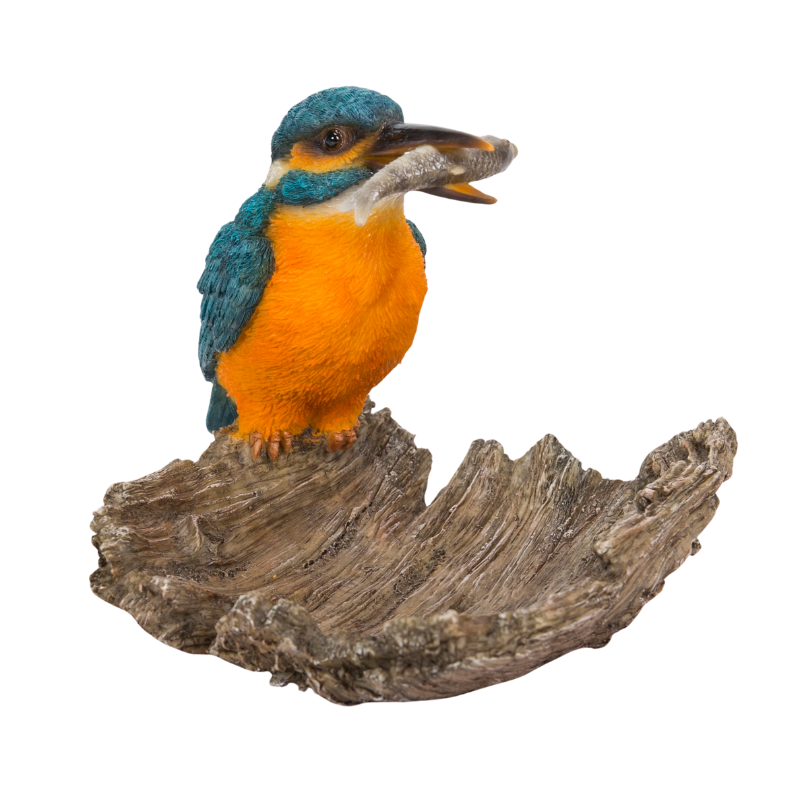 木切れに立つカワセミ | 業者様向け・WooBia仕入れサイト｜アニマル